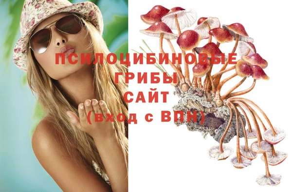 гидропоника Алексеевка