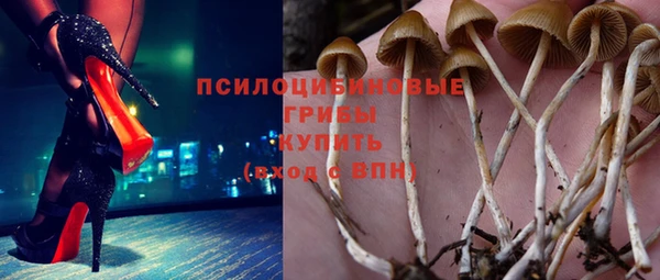 гидропоника Алексеевка