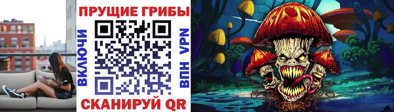 Псилоцибиновые грибы Cubensis  Козловка 
